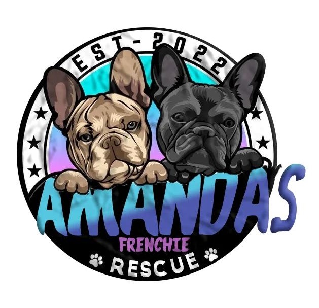 Amanda French Bulldog Homes | Buy French Bulldog Puppies